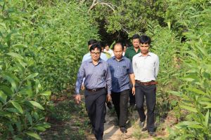 Dong Naiには33.7千ヘクタール以上の生産林地があります