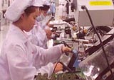 Export turnover in the first 10 months reached USD 4,295 million