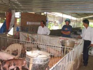 In the First Nine Months, 15 Cooperatives are Established