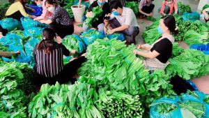 Dong Naiは10トン以上の野菜や果物をホーチミン市に支援
