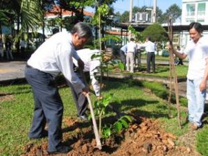 Dong Nai responds to the World Environment Day with a lot of practical actions