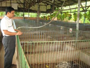 Veterans Association of Vinh An Town helps its members to overcome difficulties