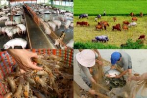 坚决控制通货膨胀但同时确保经济增长