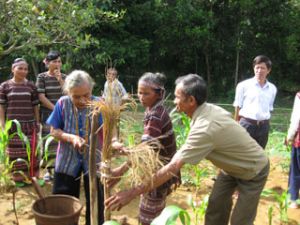 定馆县农村劳工职业培训工作的效果