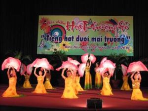 2011年同奈省红色凤尾花表演会：展泵县取得一等奖