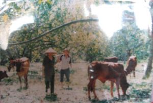 Poverty reduction in 5 years: ensure social security