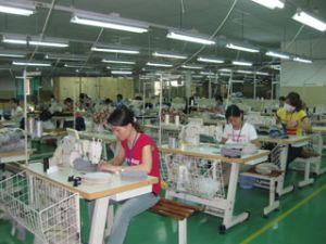 如何有效发挥性别平等工作的作用