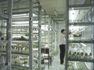 提高各行政事业机构的节能效率：需要同步的措施