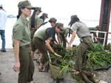 Activities responding to the 2008 "Cleaner World" Campaign