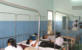 256 Blood Units are Donated in Thong Nhat District