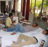 Dong Nai Red Cross Receives 354 Blood Units in Tan Phu District