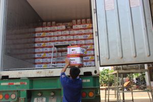 農業生産を回復するための条件を作成する