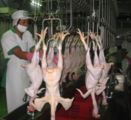 怎样做才能建设从蓄养到加工的食品安全系列？