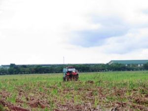 今年上半年农业产值达36680亿元以上。