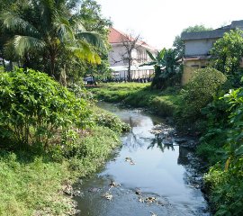 边和市畜牧停止路程：等到何时？