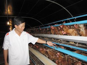 同奈将参加农业保险。