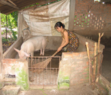 Women’s role raised to meet the demands for new situation