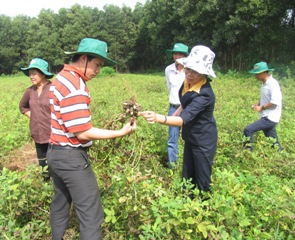庆祝越南农民会成立81周年(1930/10/14-2011/10/14):新农村建设发挥农民会的角色。