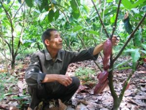 全省至今共有374个高产俱乐部。