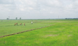 Seperated and newly established hamlets in Bau Can and Tam Phuoc commune, Long Thanh district.