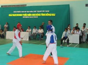 Dong Nai Open Taekwondo Competition 2009 for youth and children kicked off