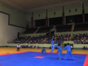 Provincial Vovinam Competition 2010 ended: Bien Hoa City ranked first