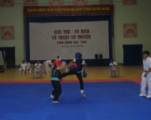 9 delegations took part in Dong Nai Traditional Martial Arts Championship 2009
