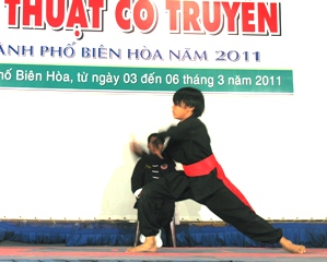 16 units took part in Bien Hoa Traditional Martial Arts Tournament 2011