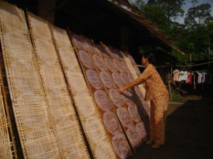 永久县：以服务、都市、旅游为经济发展的动力。