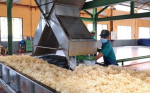 ゴム産業は非常によく成長しています