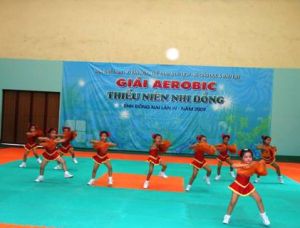 7 units take part in Dong Nai Aerobic Competition 2009 for teenagers and children