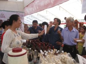 同奈：2011年东南部产业村-工业-贸易展览会开幕