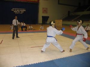 10 delegations took part in Dong Nai Karatedo Championship 2009