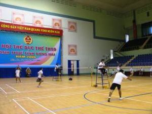 300 athletes took part in Sport Festival of Tax Sector of Dong Nai Province in 2009