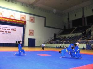 12 delegations took part in Dong Nai Vovinam Championship 2009