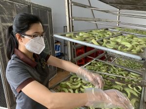 きれいな農場からの比類のない製品