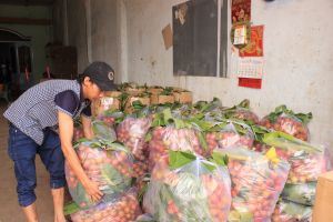 大規模な生産エリアを構築するための多くの課題