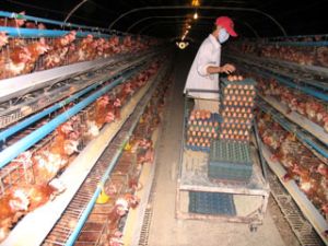 The whole province’s economy and society kept growing steadily in the first quarter of 2009