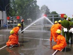 The Prime Minister’s directive on the implementation of urgent measures for forest fire prevention