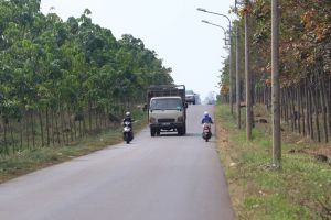 Long Khanh市は約12,700ヘクタールの農地を非農地に切替