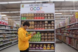 貿易・サービス業のインフラ開発