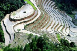 皇素披的梯田接受国家遗跡纪念碑