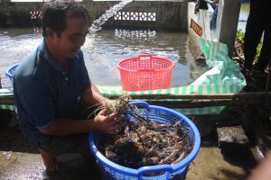 養殖業の強みを活かす