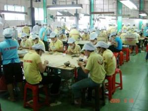 Economy continued showing positive signs in November