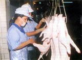 To have goods available for 2005’s Tet