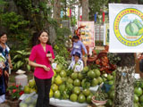 Tan Trieu pomelo: itinerary of building a brand name for international integration