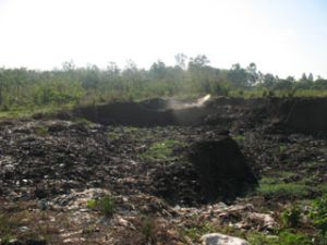 The environment protection in Trang Bom district was under the supervision of the provincial People’s Committee.