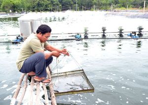 促进农业生产连接