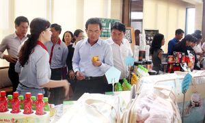 同奈鼓励企业投资至农业
