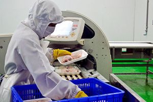 改新工业增长模型